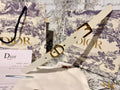 CINTURA DIOR