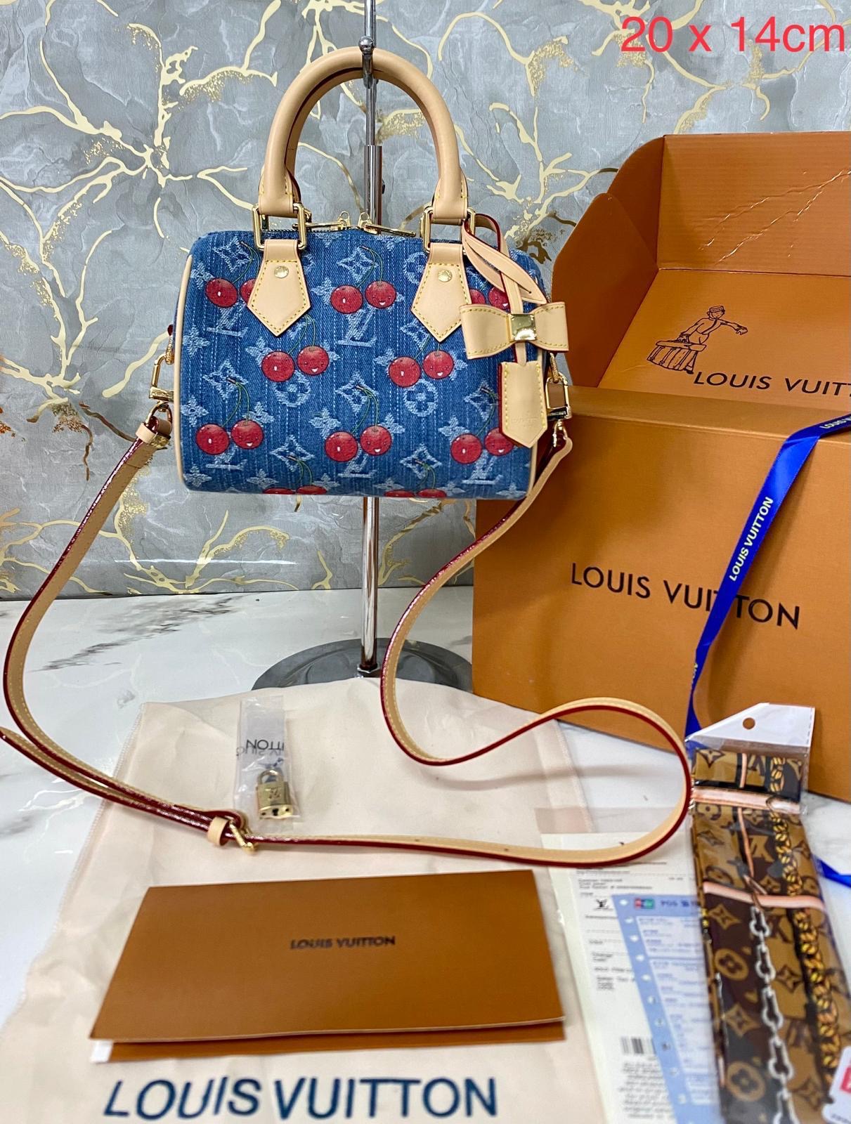 BORSA LOUIS VUITTON