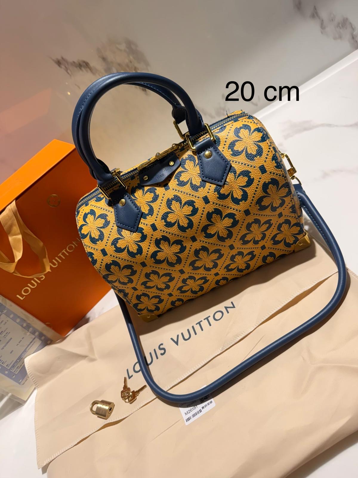 BORSA LOUIS VUITTON